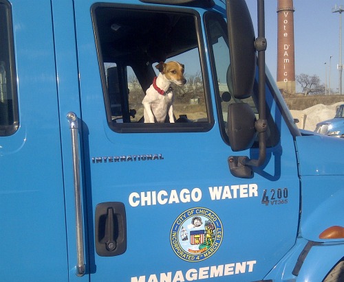 ChicagoClout Criminal Activity continues at City of Chicago Department